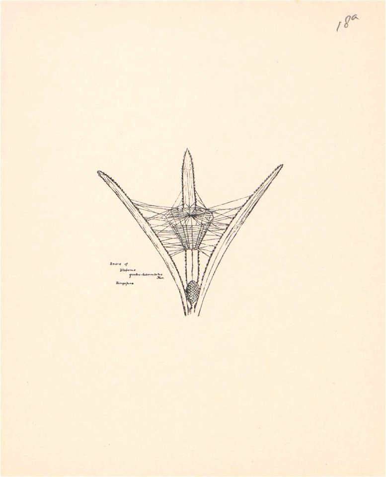 n87_w1150