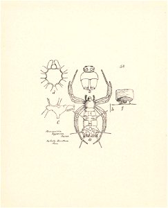n251_w1150
