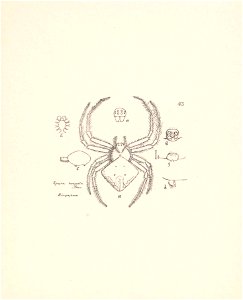 n193_w1150