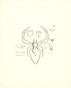 n131_w1150