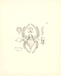 n189_w1150