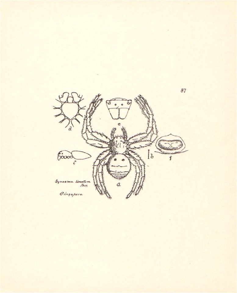 n367_w1150