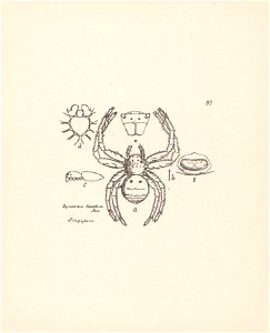 n367_w1150