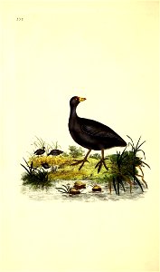 n41_w1150