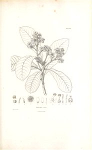 n280_w1150