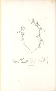 n563_w1150