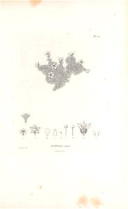 n64_w1150