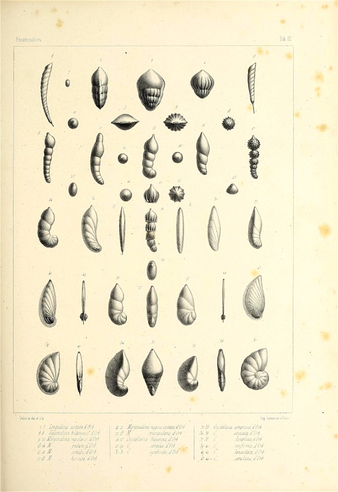 n366_w1150