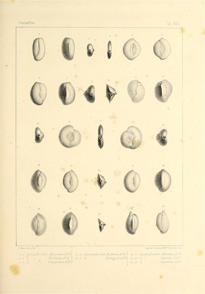 n396_w1150