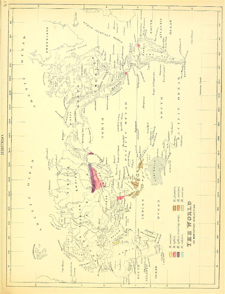 n96_w1150