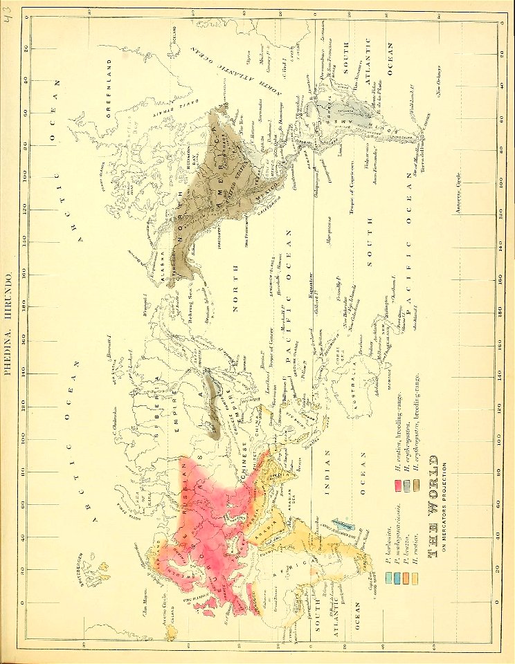 n92_w1150
