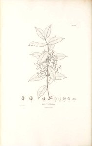 n187_w1150