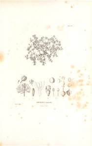 n34_w1150