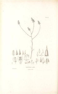 n499_w1150