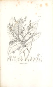 n332_w1150