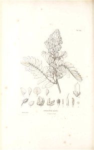 n533_w1150