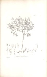 n426_w1150