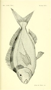 n164_w1150