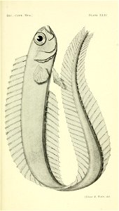 n162_w1150