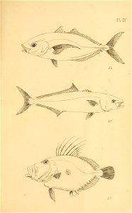n162_w1150