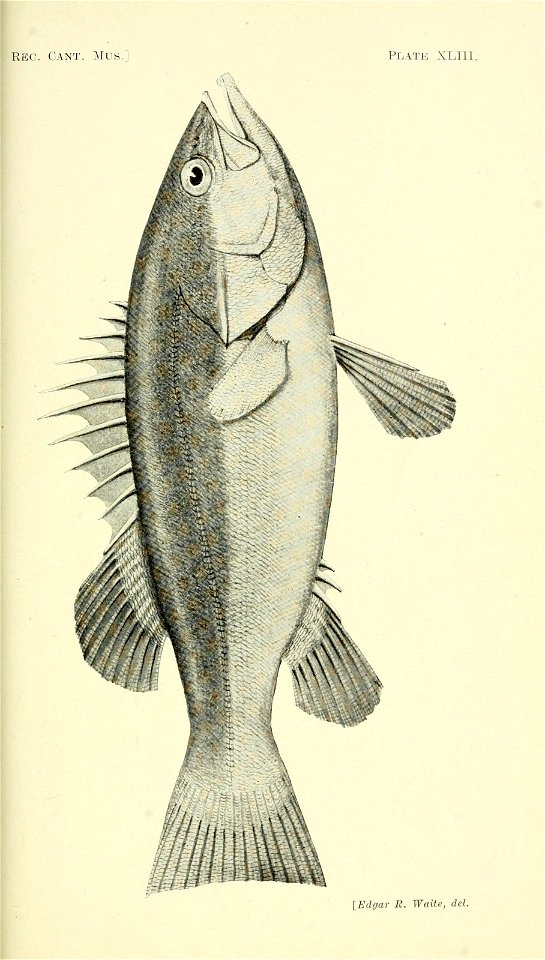 n160_w1150