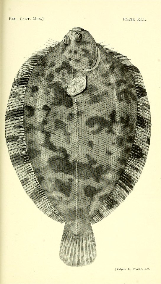 n156_w1150