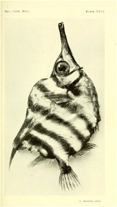 n124_w1150