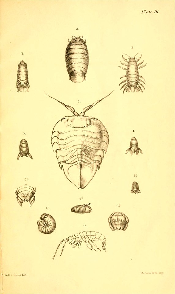 n172_w1150