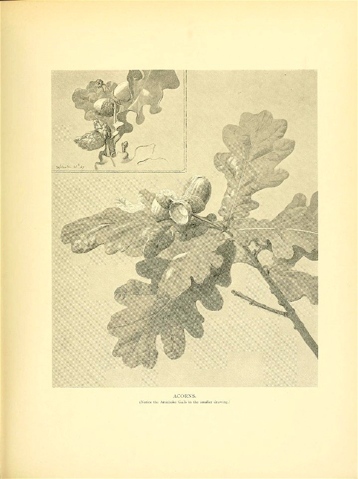n118_w1150