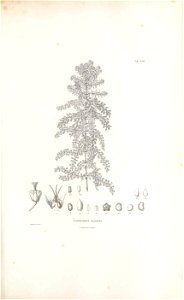 n208_w1150