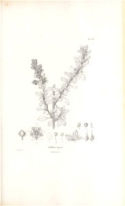 n302_w1150