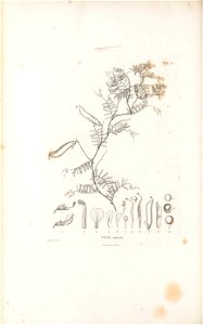 n565_w1150