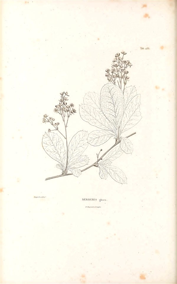 n105_w1150