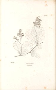n105_w1150