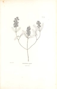 n198_w1150