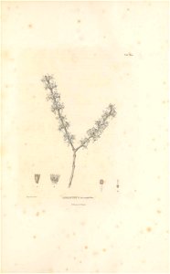 n564_w1150