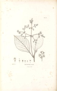 n475_w1150