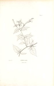 n402_w1150