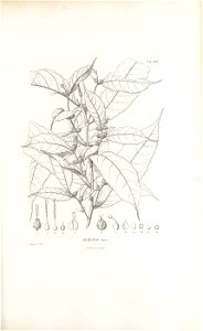 n198_w1150