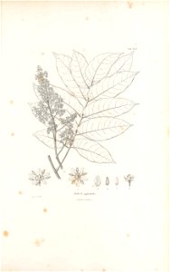 n20_w1150