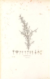 n91_w1150