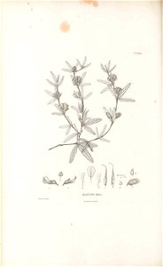 n469_w1150