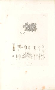 n45_w1150