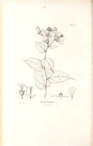 n349_w1150