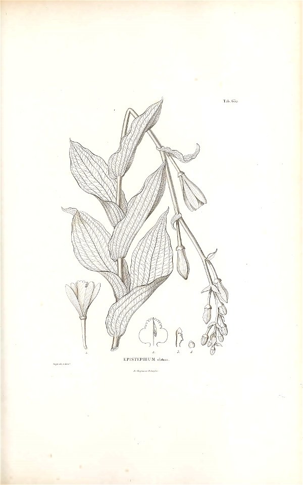 n194_w1150