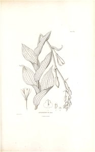 n194_w1150