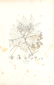 n18_w1150