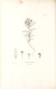 n127_w1150