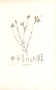 n36_w1150