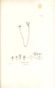 n502_w1150